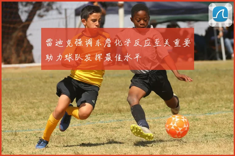 雷迪克强调东詹化学反应至关重要助力球队发挥最佳水平