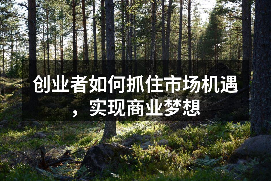 创业者如何抓住市场机遇，实现商业梦想