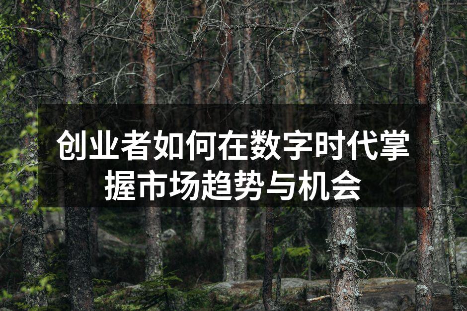 创业者如何在数字时代掌握市场趋势与机会