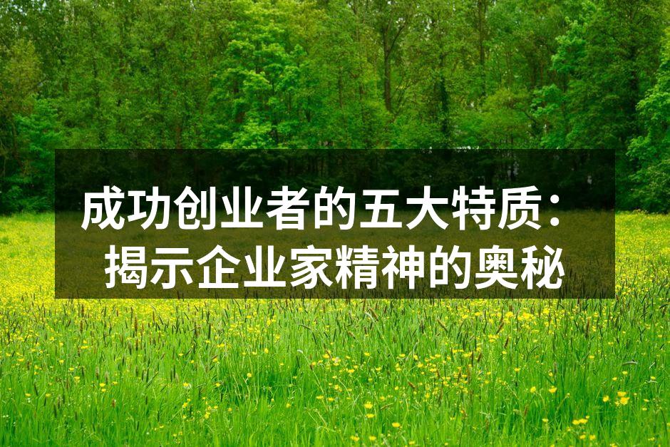 成功创业者的五大特质：揭示企业家精神的奥秘